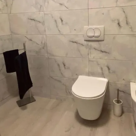 Alma Rose كورتشي