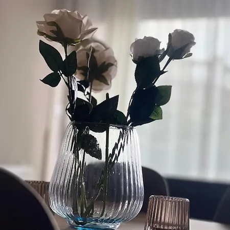Alma Rose Apartamento