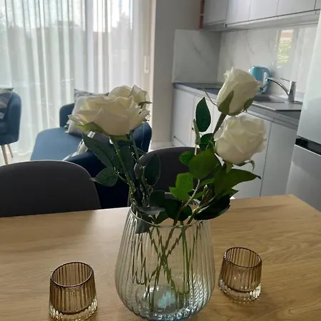 Alma Rose Apartamento