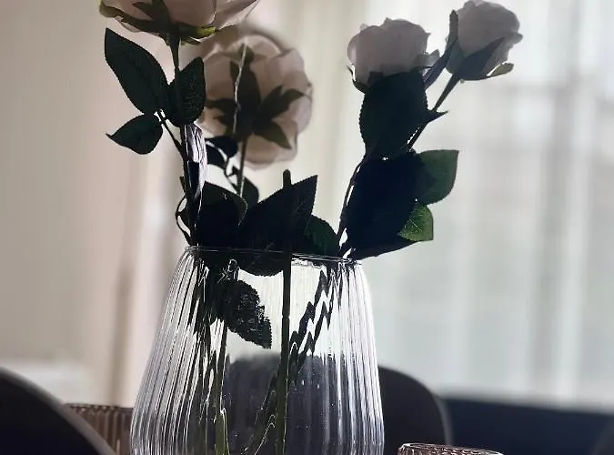 Alma Rose 公寓